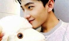 杨洋事件是谁爆料的视频,揭秘爆料视频背后的真相